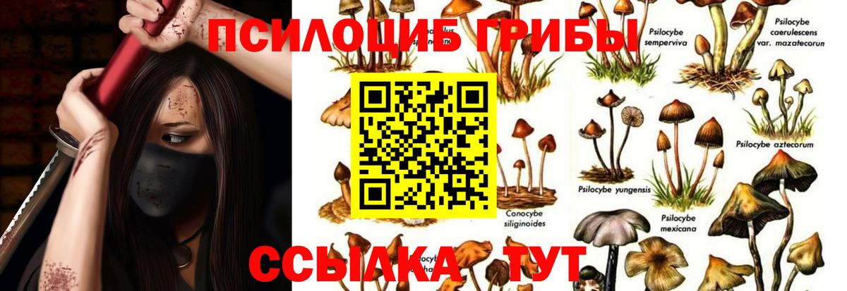 Галлюциногенные грибы мухоморы  Галлюциногенные грибы Magic Shrooms  Вход с VPN  Орехово-Зуево 
